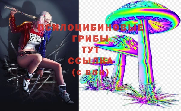 ALPHA-PVP Алексеевка