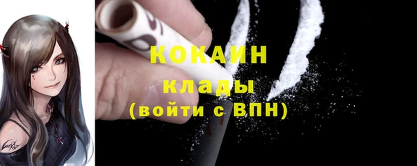 соль ск Алексин