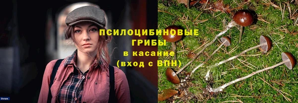 ALPHA-PVP Алексеевка