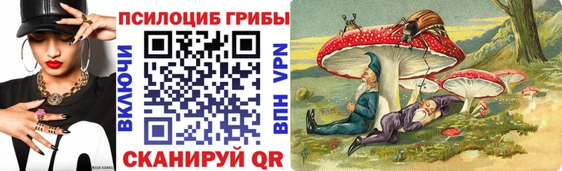 закладка  Бежецк  Галлюциногенные грибы GOLDEN TEACHER 