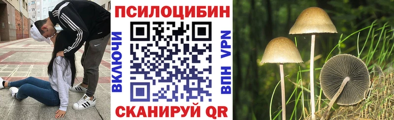 Псилоцибиновые грибы прущие грибы Бежецк